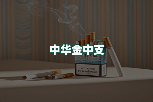 中华金中支